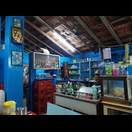 Eine Katze hat Küche und Gastraum unseres Restaurants im Blick